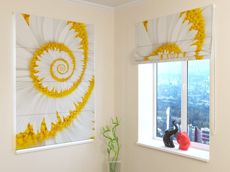 roman blinds - with swirls