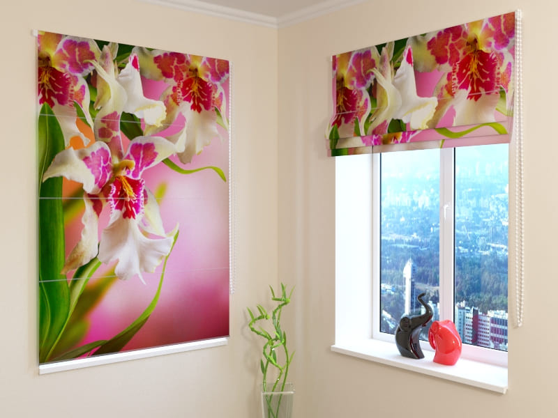 roman blinds - with orchids