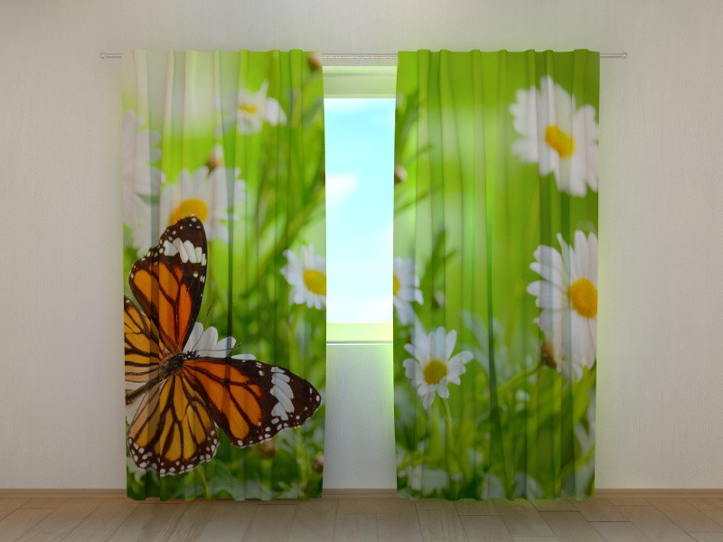 curtains - butterflies and flowers