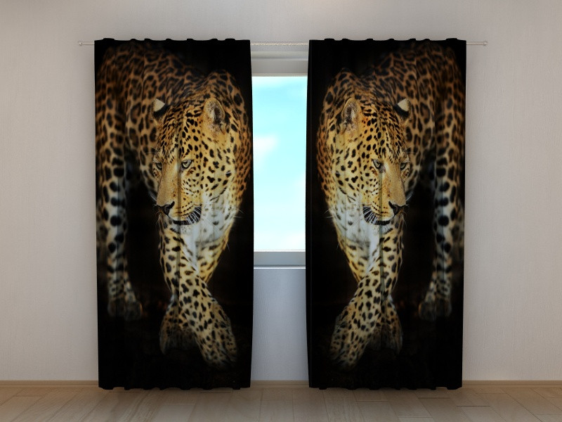 cheeta's - jaguars - leeuwen - tijgers