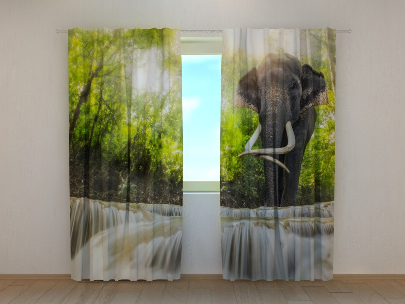 corturi cu elefanți