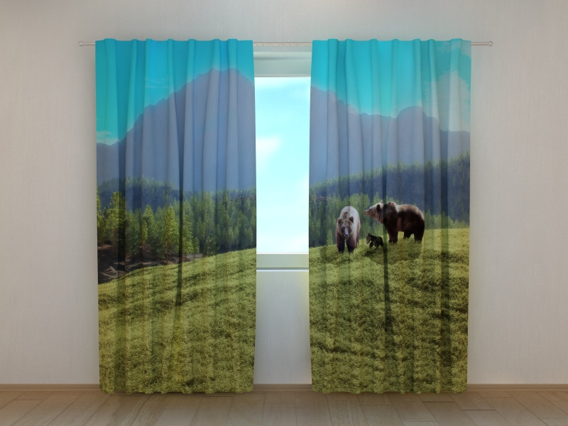 cortinas con osos y panda