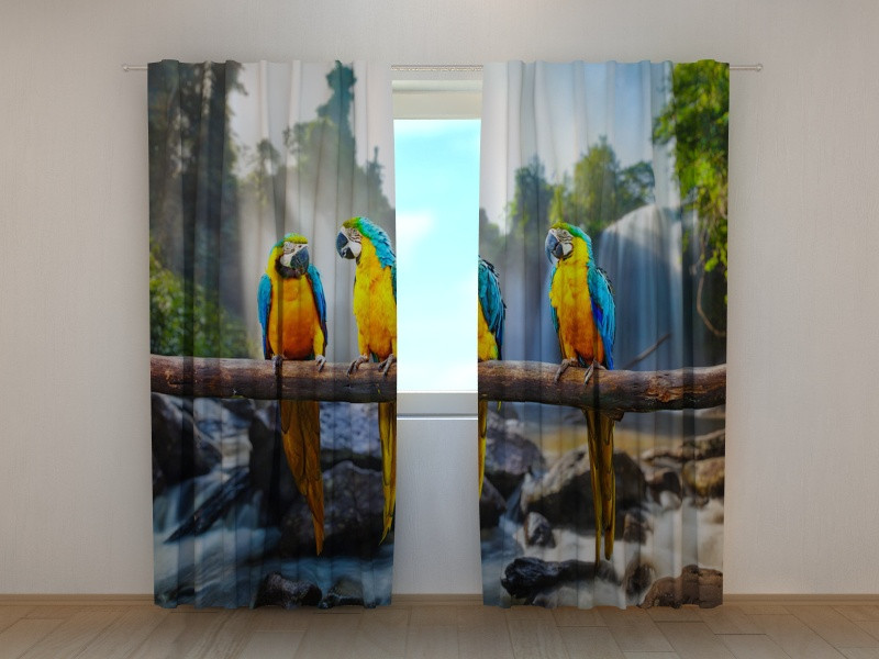 curtains - parrots and peacocks