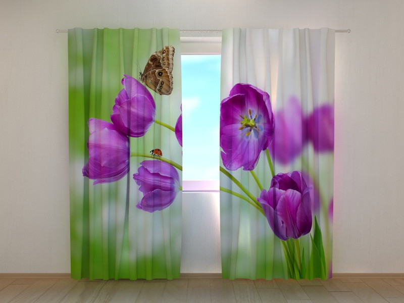 Curtains - Tulips and Gerbera