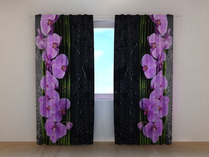 Orchidées - Rose et violet