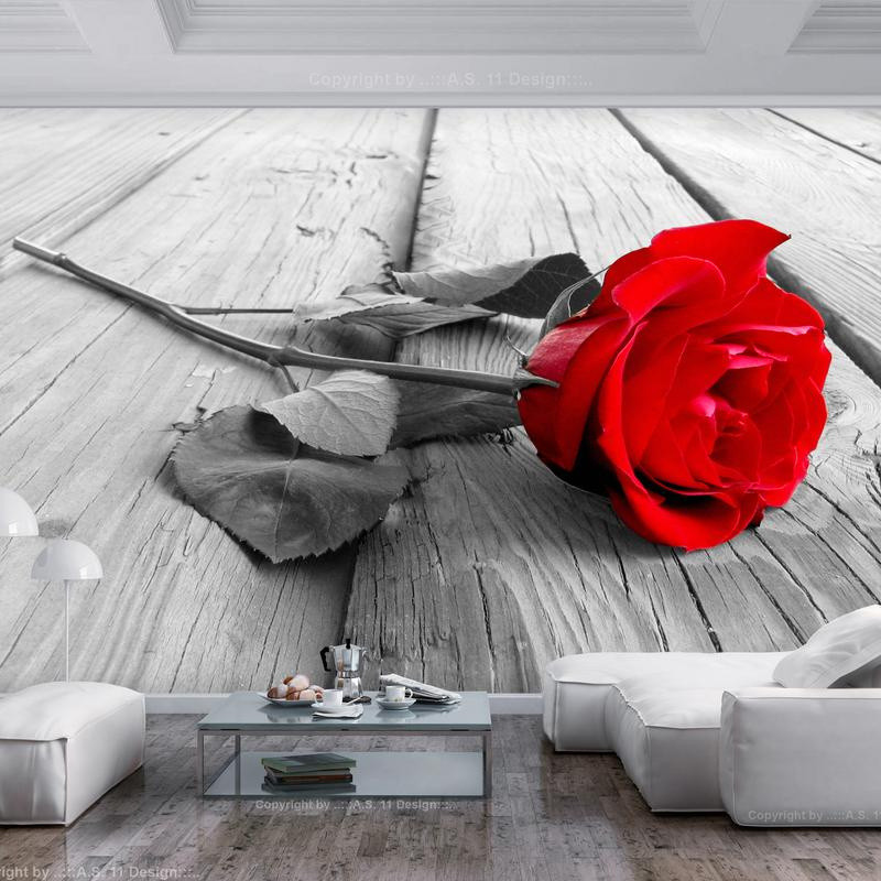 foto sienas gleznojumi ar rozēm uz koka